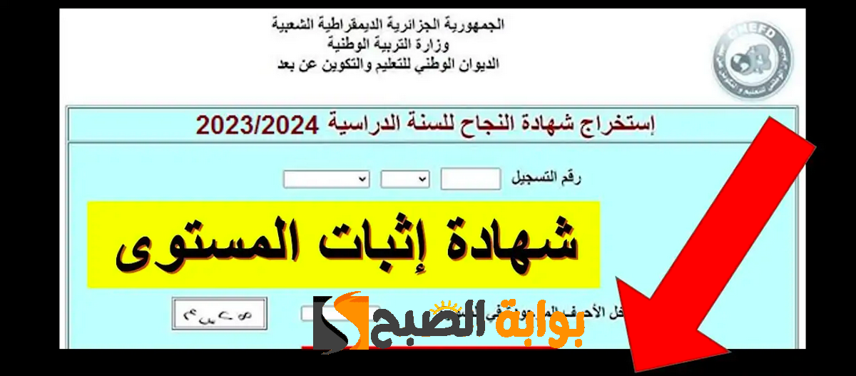هُنـا موقع استخراج شهادة اثبات المستوى att_niv_2024 .. خطوات استخراج شهادة النجاح في المراسلة دورة ماي