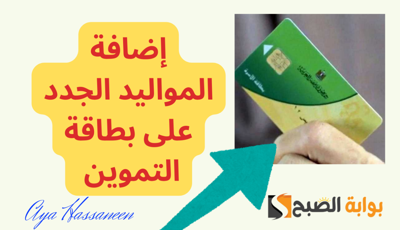بالخطوات…إضافة المواليد الجدد على بطاقة التموين 2024 3 بالخطوات…إضافة المواليد الجدد على بطاقة التموين 2024