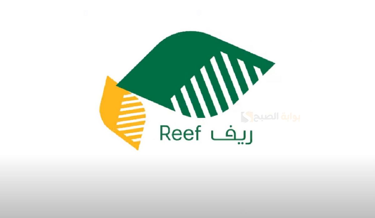 كم اعلى دعم في ريف وأبرز العوامل المؤثرة 5 كم اعلى دعم في ريف وأبرز العوامل المؤثرة