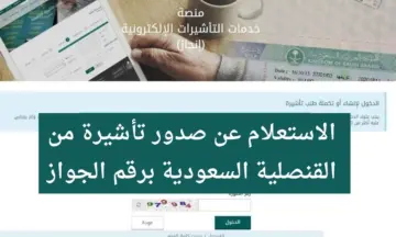 بكل سهولة وبضغطة واحدة.. رابط الاستعلام عن تأشيرة السعودية برقم الجواز ١٤٤٦