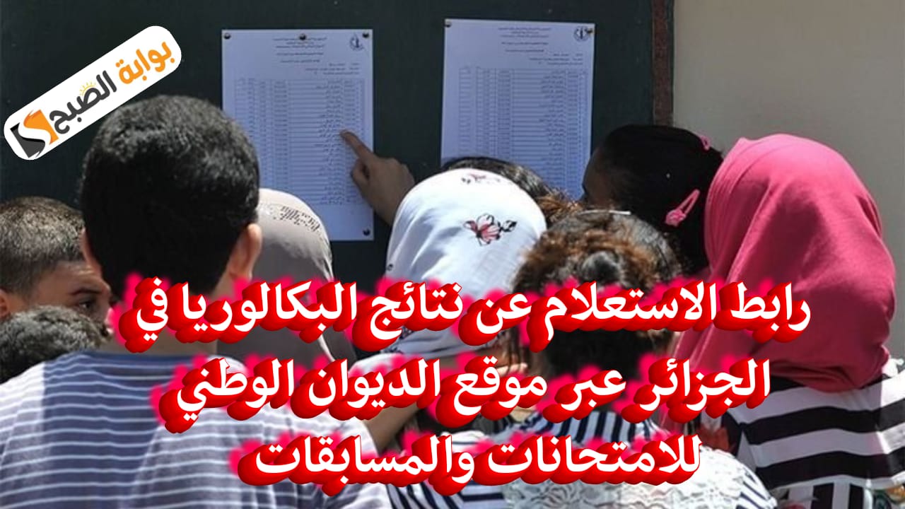 الاستعلام عن نتائج البكالوريا 2024  في الجزائر عبر موقع الديوان الوطني للامتحانات والمسابقات