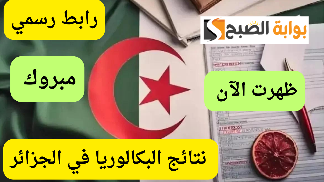 ألف مبروك للنجاحين.. نتائج شهادة البكالوريا 2024 عبر موقع الديوان الوطني للإمتحانات