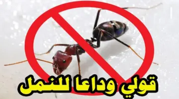 التخلص من النمل