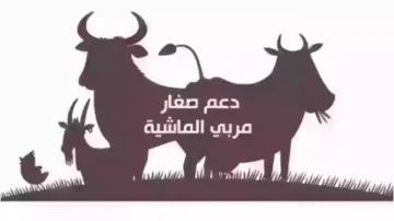 وزارة البيئة والمياه والزراعة توضح خطوات التسجيل في برنامج دعم المواشي 1446 وأهم شروط  التسجيل