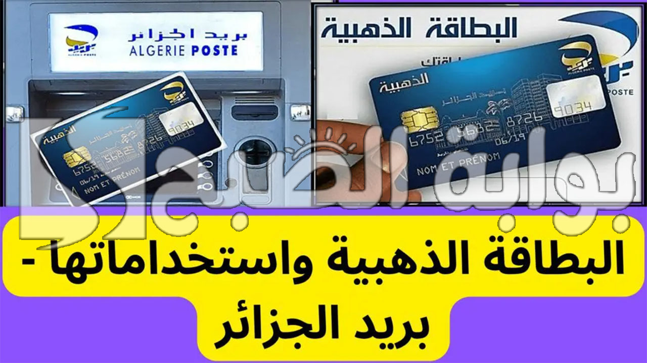 “الحكومة الجزائرية توضح”.. خطوات التقديم علي البطاقة الذهبية في الجزائر 2024 وفوائد استخراجها