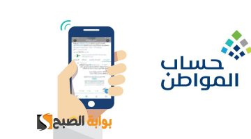 الحاسبة التقديرية