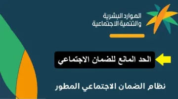 الحد المانع للضمان المطور للفرد