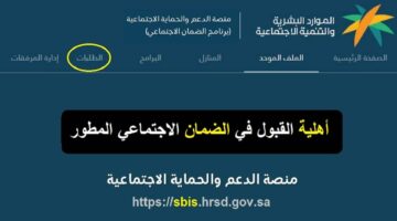 اهلية الضمان الاجتماعى المطور