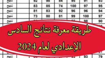 بارزة 19