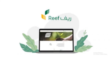 برنامج ريف يحدد موعد صدور نتائج الأهلية لدفعة شهر يوليو 2024 وشروط الاستحقاق