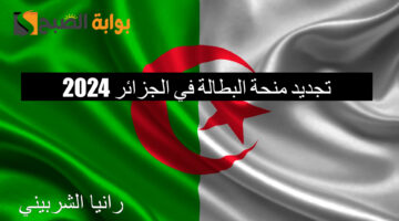 تجديد منحة البطالة في الجزائر 2024 1