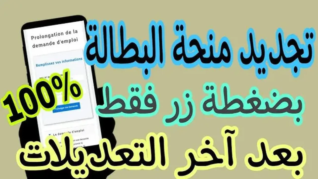 جدد في ثواني من هنا anem.dz.. خطوات تجديد منحة البطالة في الجزائر 2024 وأهم شروط المنحة