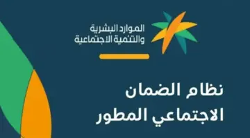 تحديث بيانات مستفيدي الضمان المطور