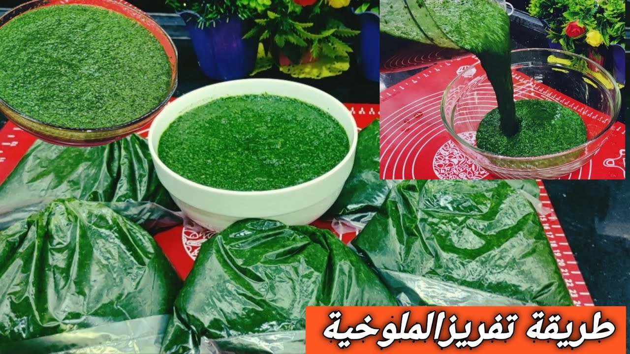 بأسرار التجار.. طريقة تخزين الملوخية الخضراء في الفريزر مع الاحتفاظ بلونها الأخضر بدون ما طعمها يتغير