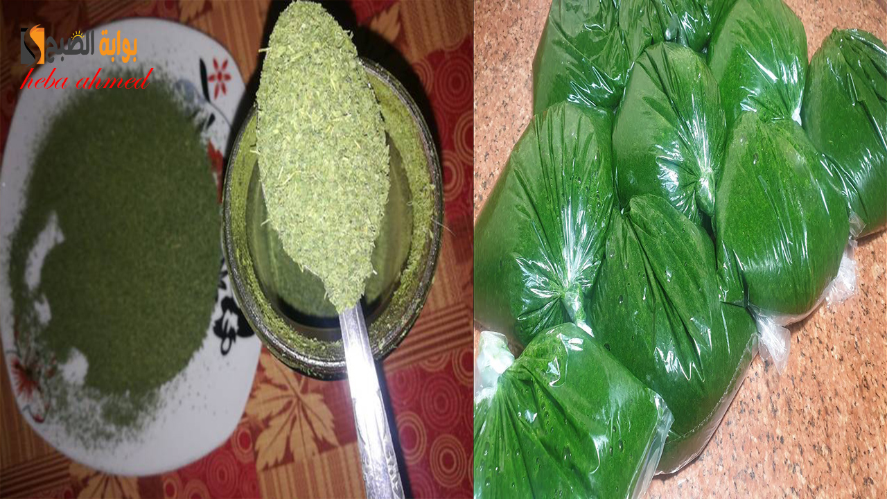طرق تخزين الملوخية خضراء أو ناشفة وسر لونها الأخضر لمدة عام