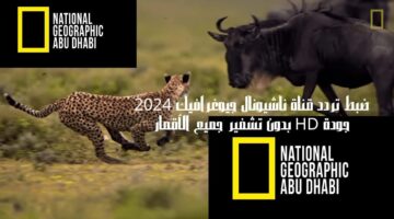 تردد قناة ناشيونال جيوغرافيك أبو ظبي 2024 1