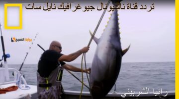 تردد قناة ناشيونال جيوغرافيك نايل سات 2