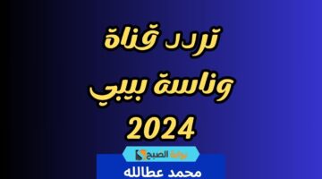 تردد قناة وناسة بيبي 1