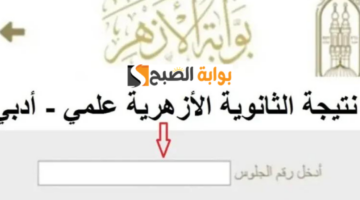 تصميم بدون عنوان8 2