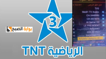 تصميم بدون عنوان9 1