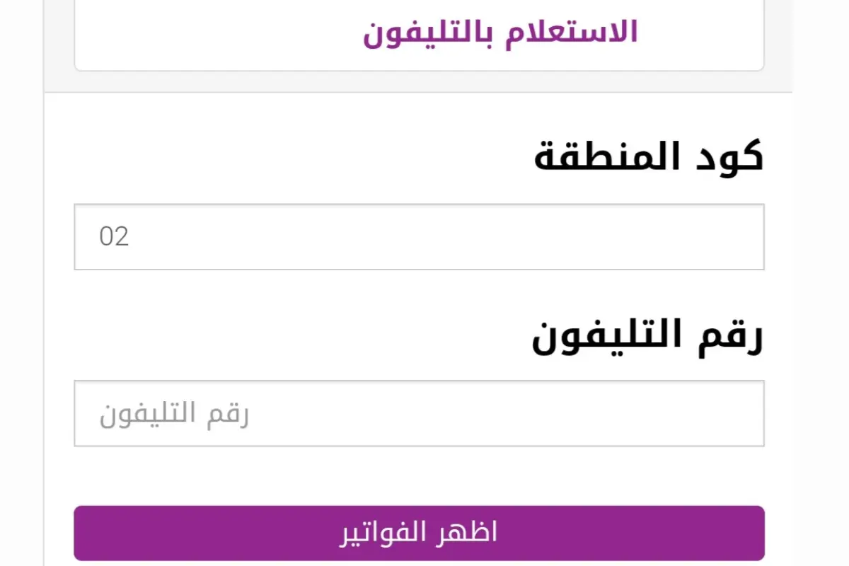 فاتورة التليفون الأرضي يوليو 2024 (خطوات الاستعلام والدفع) 2 فاتورة التليفون الأرضي يوليو 2024 (خطوات الاستعلام والدفع)