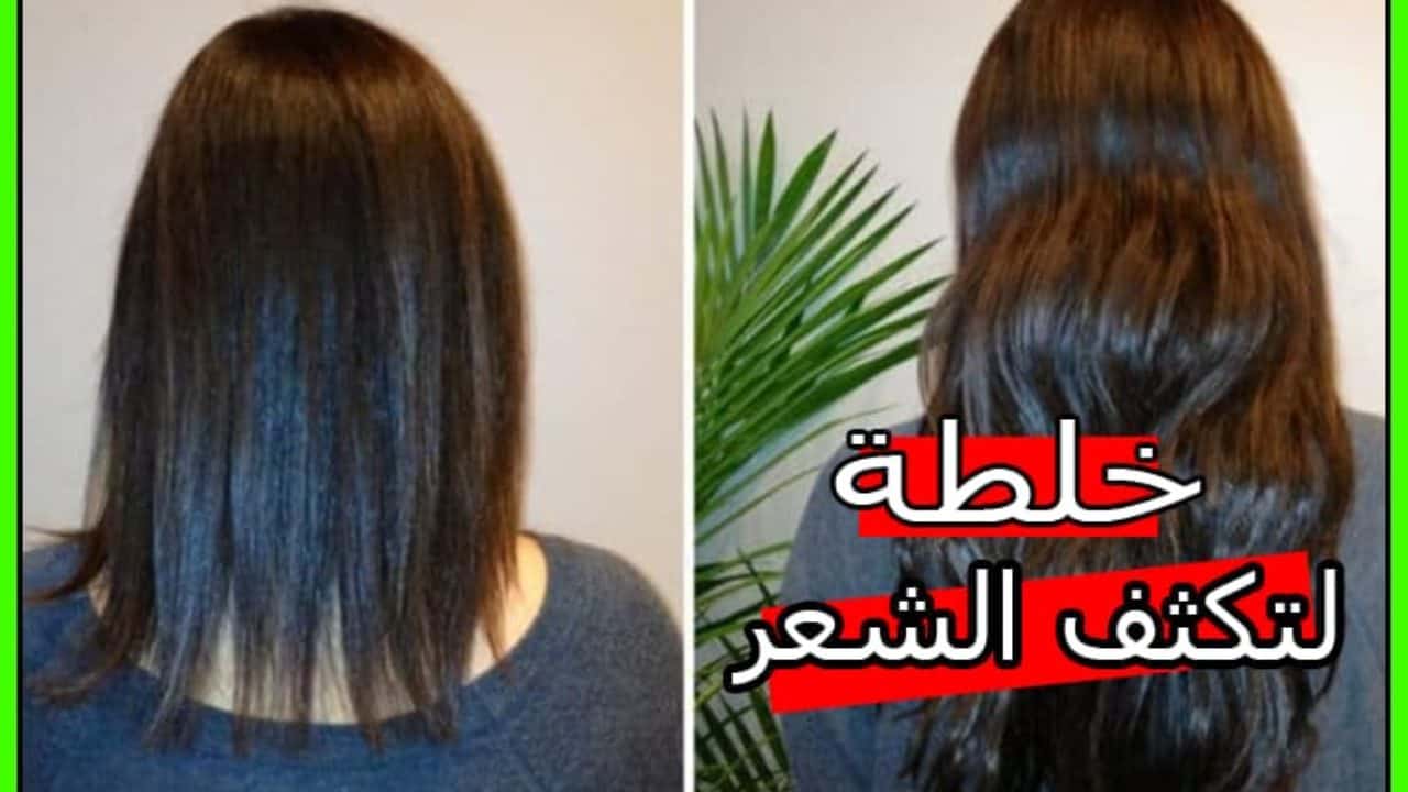 تكثيف الشعر وانبات الفراغات والسر في وصفات زمان الطبيعية متوفرة بكل مطبخ 5 تكثيف الشعر وانبات الفراغات والسر في وصفات زمان الطبيعية متوفرة بكل مطبخ