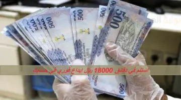 تمويل الأسرة