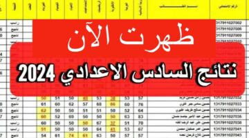خطوات الاستعلام عن نتائج السادس الإعدادي موقع نجاح