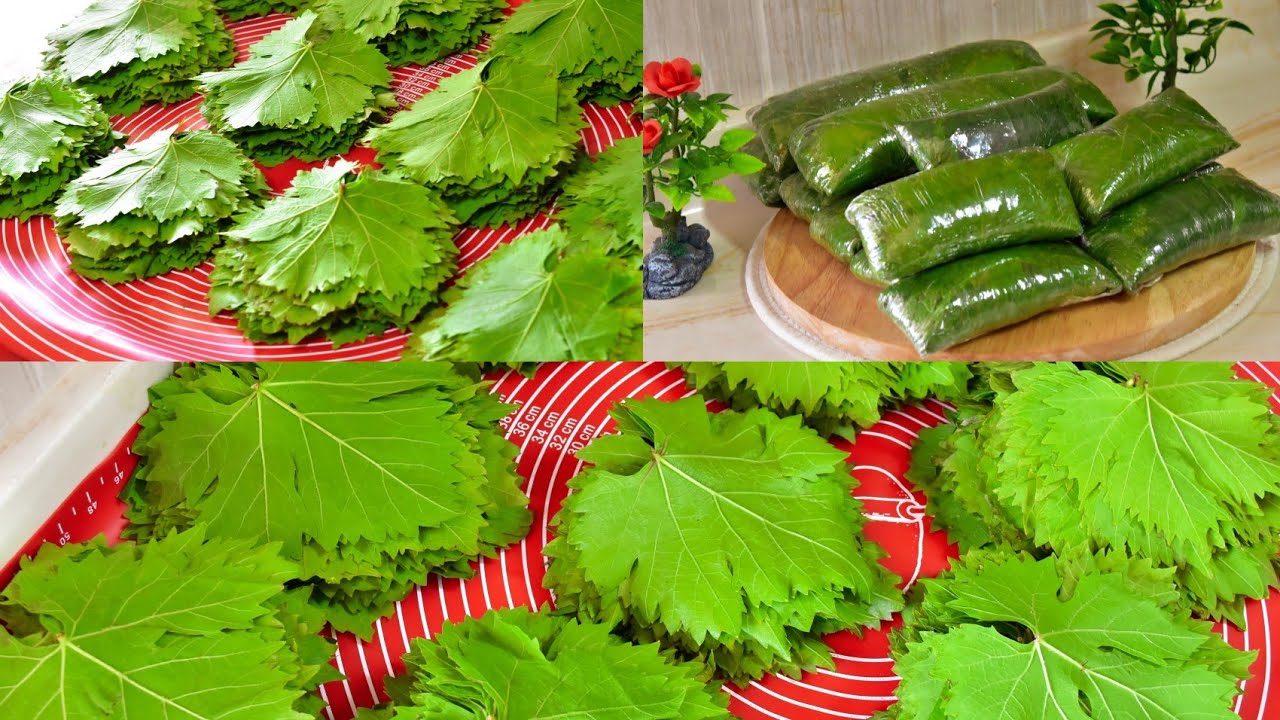 بطريقة سهلة وسريعة تعرفي على خطوات تفريز ورق العنب لمدة عام