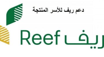 دعم ريف