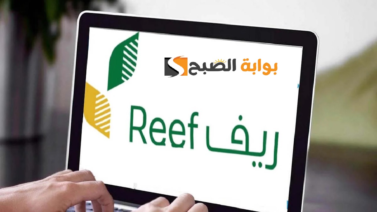 وزارة البيئة توضح حالات إيقاف دعم ريف 1446 وشروط الاستحقاق لضمان إستمرارية الدعم