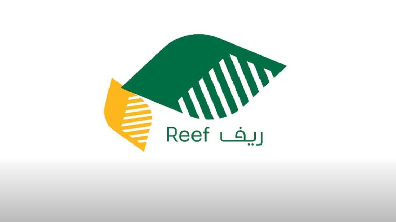 وزارة البيئةوالمياة ...تكشف عن شروط الحصول على دعم ريف ربات البيوت وطريقة التسجيل 1446 5 وزارة البيئةوالمياة …تكشف عن شروط الحصول على دعم ريف ربات البيوت وطريقة التسجيل 1446