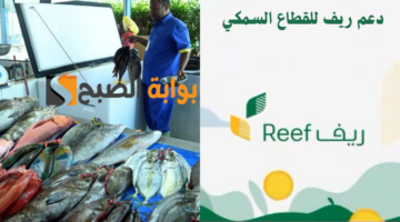 دعم ريف للقطاع السمكي