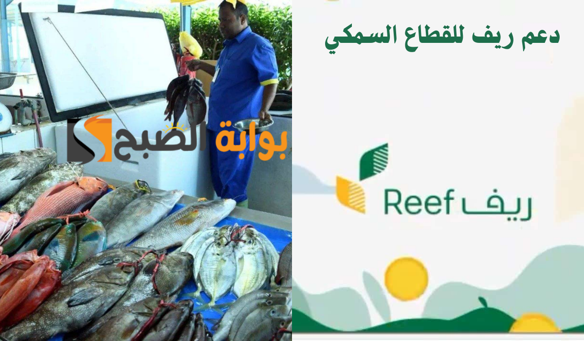 خطوات التسجيل في دعم ريف للقطاع السمكي وأهم الشروط المطلوبة 1446