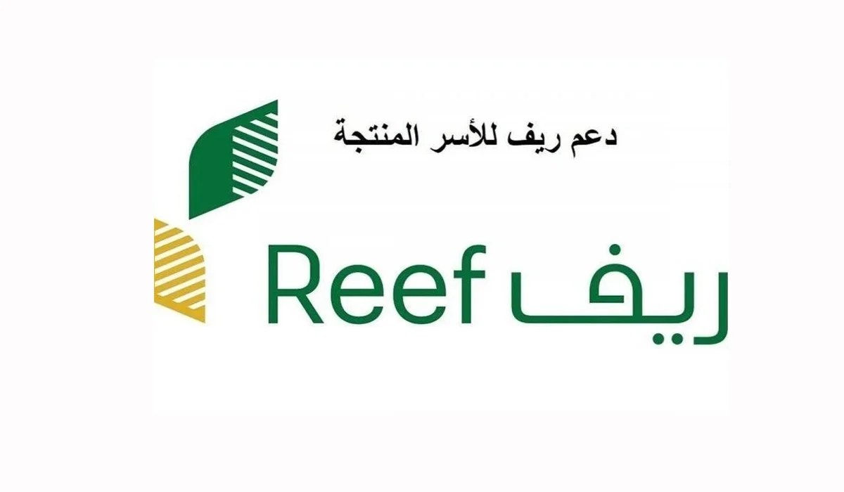 الآن.. رابط وخطوات الاستعلام عن دعم ريف يوليو 2024 وشروط استحقاقه
