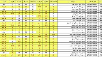 “طالع عند الرفع” رابط استعلام نتائج السادس الاعدادي دور اول 2024 العراق عموم المحافظات