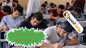 رابط الاستعلام عن نتيجة الثانوية الزراعية برقم الجلوس 2024