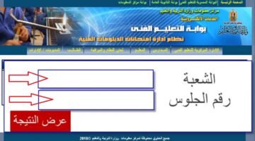 رابط نتيجة الدبلومات الفنية 2024 برقم الجلوس 11