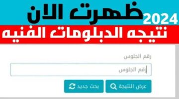 رابط نتيجة الدبلومات الفنية 2024 برقم الجلوس 12