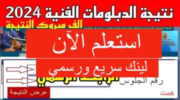 رابط نتيجة الدبلومات الفنية 2024 برقم الجلوس اليوم السابع