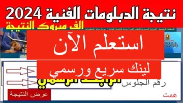 بوابة مركز المعلومات رابط نتيجة الدبلومات الفنية 2024 برقم الجلوس fany.emis.gov.eg