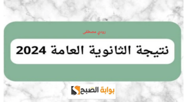 رودي مصطفى