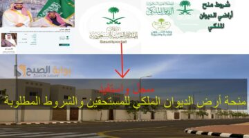 سجل واستفيد منحة أرض الديو