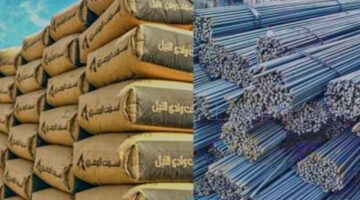 سعر الحديد والأسمنت اليوم 12 1