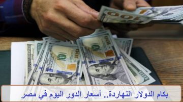 سعر الدولار اليوم 16