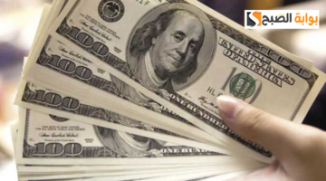 سعر الدولار اليوم السبت