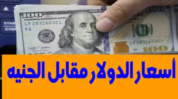 سعر الدولار مقابل الجنيه المصري 2
