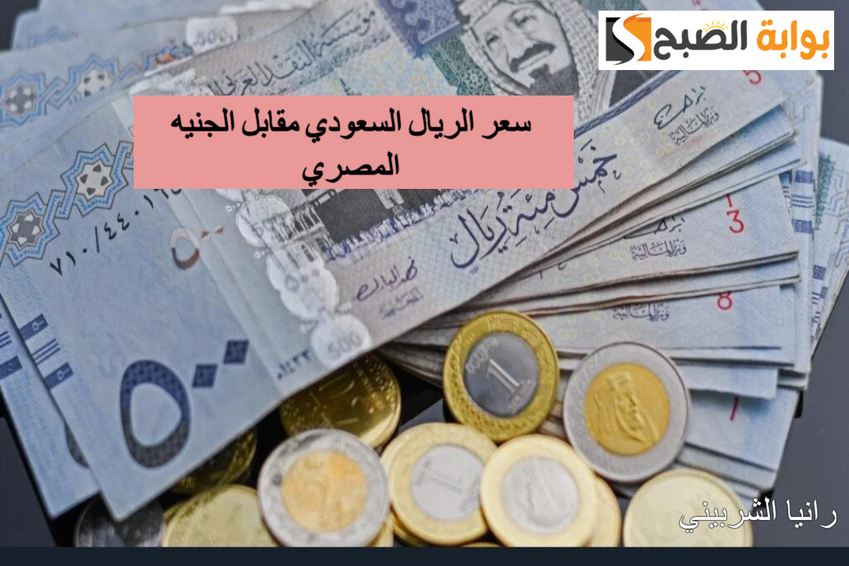 رسمياً.. سعر الريال السعودي مقابل الجنيه المصري اليوم الإثنين 22/7/2024 والعملات في البنوك المصرية