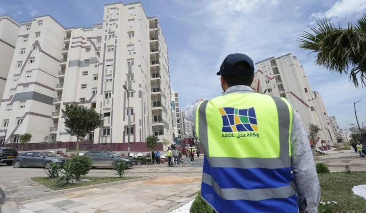 بعد غلق باب التقديم .. طريقة الاستعلام عن المقبولين في سكنات عدل 3