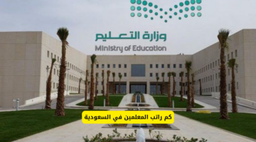 سلم رواتب المعلمين في المملكة